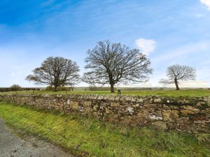 Photo 14- click for photo gallery